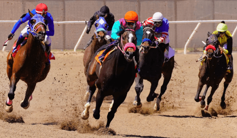 The Importance of Jockeys in Horse Racing Success