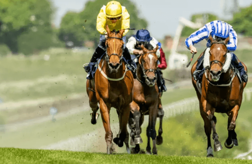 Horse Racing Terms You Need to Know